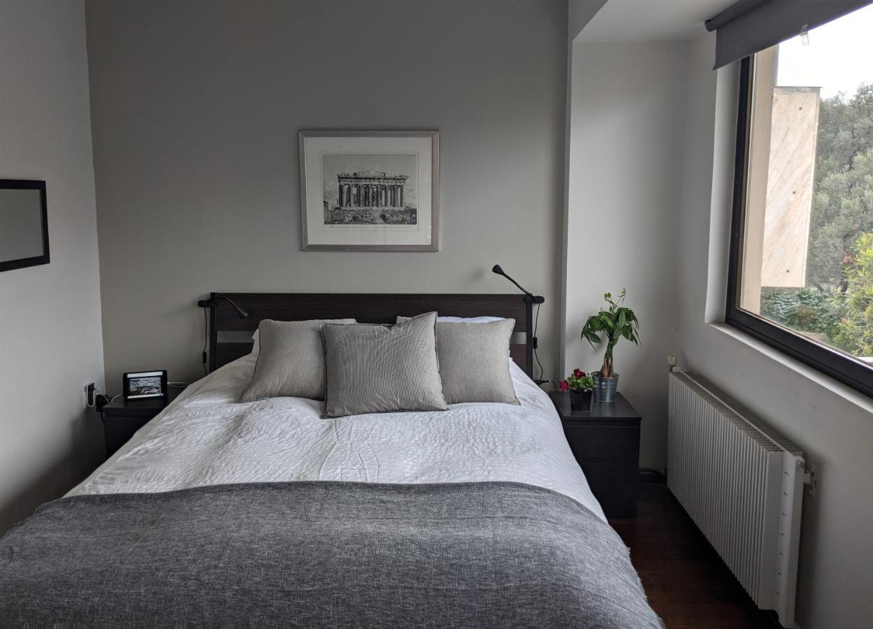 Holodek Apartments : Parthenon Athén Kültér fotó